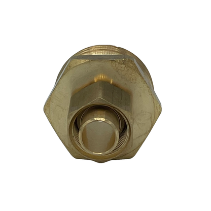 Tige de tuyau 3/8" mâle vers raccord en laiton mâle 3/4" GHT 